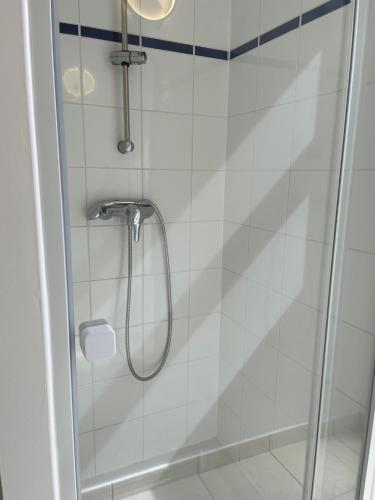 a shower with a glass door in a bathroom at Studio Château de Passy in Passy