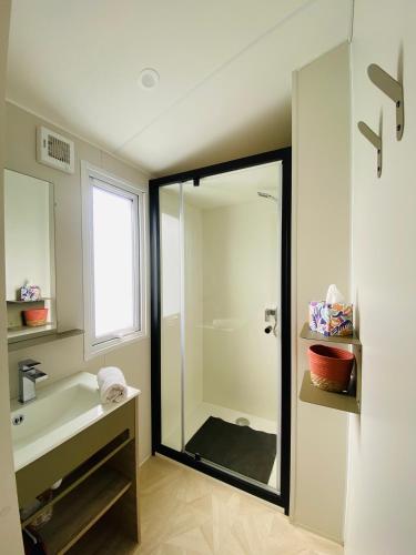 a bathroom with a shower and a sink and a mirror at Premium Sea View in Saint-Raphaël