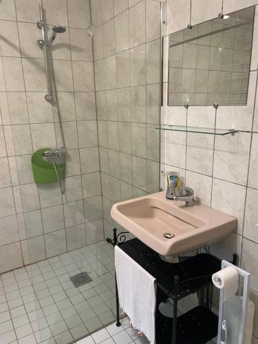 a bathroom with a sink and a shower at Château de Villeron in Savigny-en-Revermont