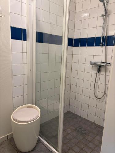 a bathroom with a toilet and a shower at Rödlix Vandrarhem & Camping in Tvååker