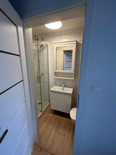a bathroom with a shower and a sink and a toilet at Przystań Kamień Centrum in Kamień Pomorski