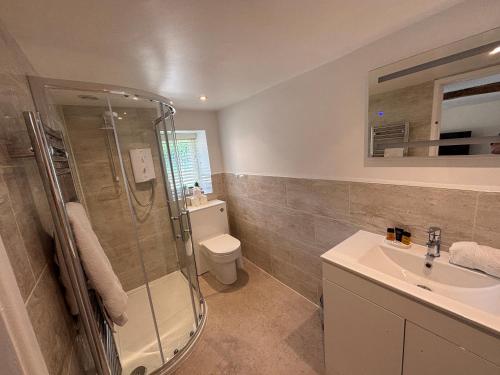 a bathroom with a shower and a toilet and a sink at Bridge Farm Holiday Cottages in Cow Honeybourne
