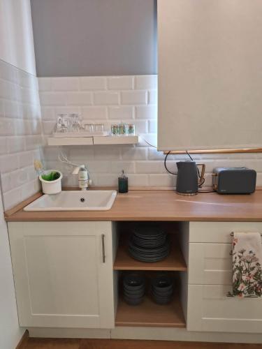 a small kitchen with a sink and a counter at Eurovelo6 Stop in Solt