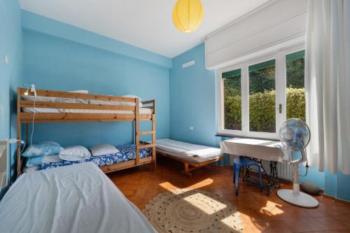 a bedroom with blue walls and a desk and bunk beds at Casa alta lucio in Bonassola