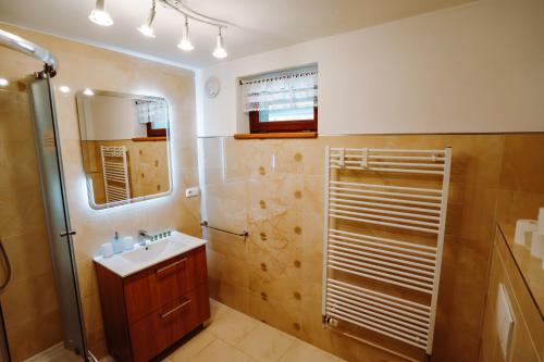 a bathroom with a sink and a shower at Apartmány s výhledem in Horní Maršov