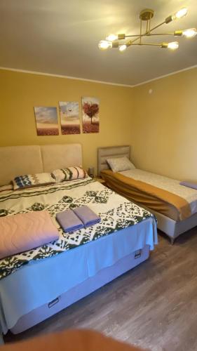 two beds sitting next to each other in a room at City Centre in Žabljak
