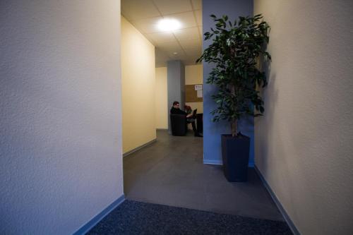 a hallway with a potted plant in an office at Hostel Gästehaus Kaiserpassage- Ihr Cityhostel in Karlsruhe