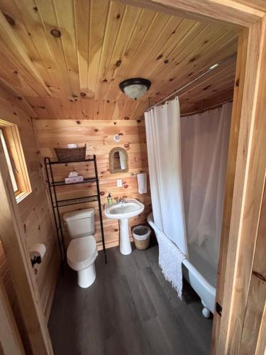 a bathroom with a toilet and a sink and a shower at Wishart Point Lodge in Neguac