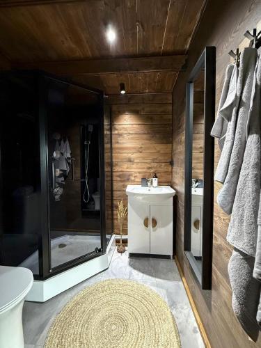 a bathroom with a shower and a toilet and a sink at Black Cat House Radailiai in Radailiai