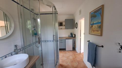 a bathroom with a glass shower and a sink at L'Alizé du Levant in Île du Levant
