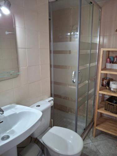 a bathroom with a shower and a toilet and a sink at Apartamento Retiro in Denia