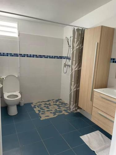 a bathroom with a toilet and a blue tile floor at Gites vallée des caraibes in Bouillante