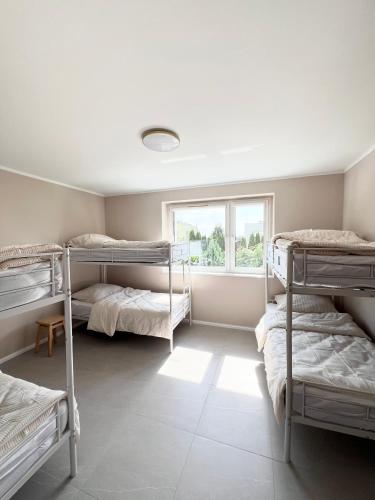 a room with three bunk beds and a window at Pokoje Chojnice in Chojnice
