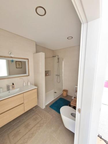 a bathroom with a sink and a toilet and a shower at Ribavilla Surf House in Santo Isidoro