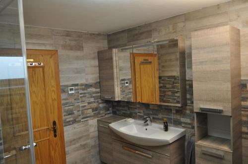 a bathroom with a sink and a mirror at Tolnaricum Apartments in Köstendorf