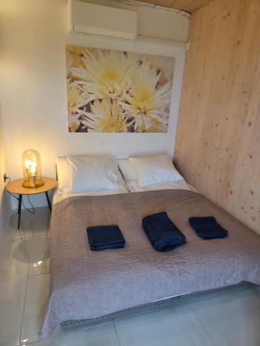 a bedroom with a bed with two blue pillows on it at Hillside Olive Apartmanház közös WELLNESsell in Pécs
