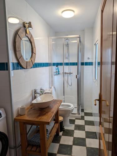 a bathroom with a sink and a toilet and a shower at River Ebro Apartments in Móra d'Ebre