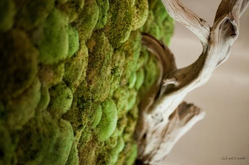 a close up of a wall with green at Hôtel de France in Montmarault