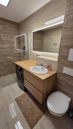 a bathroom with a sink and a toilet and a mirror at Bytík Hlohovec Centrum in Hlohovec