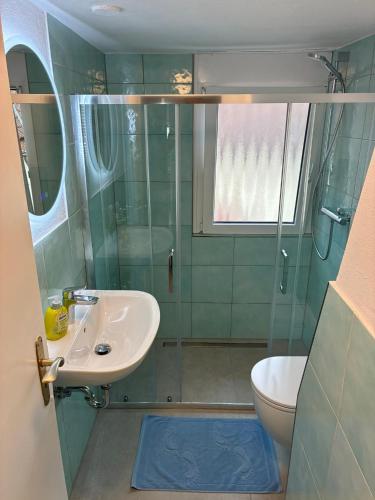 a bathroom with a shower and a sink and a toilet at Hauckwald Apartment 1 in Alzenau
