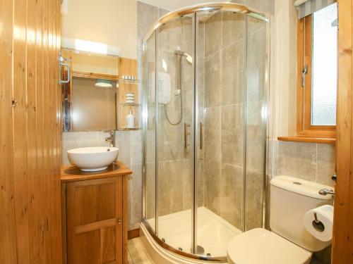 a bathroom with a shower and a toilet and a sink at Valley View Lodge in Trelystan