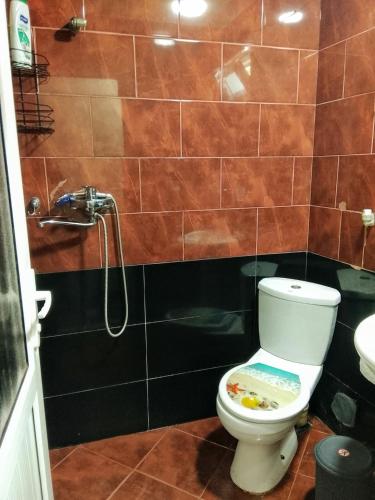 a bathroom with a toilet and a shower at temuri Room 558-58-78-27 in Poti