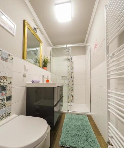 a white bathroom with a toilet and a shower at Friendly Home Doppel-Doppelappartement Union in Bornheim