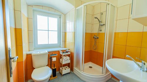 a bathroom with a toilet and a shower and a sink at Penzion a Restaurace Adria II in Dobrohoř