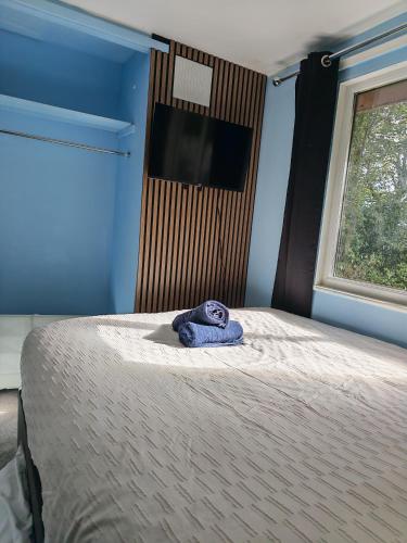 a blue bedroom with a bed with a towel on it at 52 strawberry in Hayle