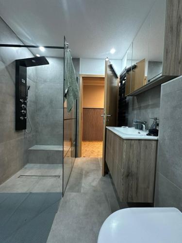 a bathroom with a shower and a toilet and a sink at Ferienwohnung Sankt Michael in Bad Laasphe