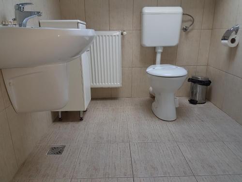 a bathroom with a white toilet and a sink at Hotel Iris in Arad