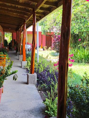 a garden with flowers and a walkway at Cabinas Marcelina in Puerto Jiménez