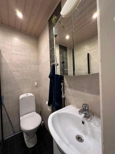 a bathroom with a white toilet and a sink at Majoitus Eura in Kauttua