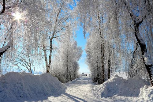 Appartement Prielau im Winter