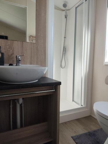a bathroom with a sink and a toilet at Wima Chalet in Sevenum