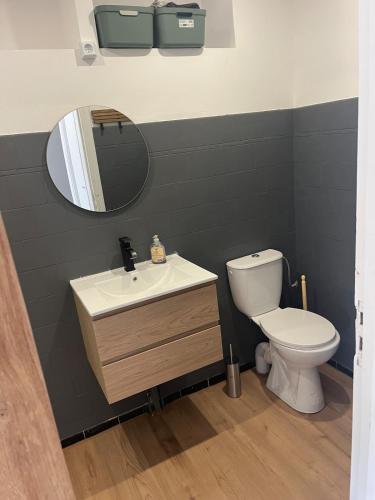 a bathroom with a toilet and a sink and a mirror at Le Nid de la Distillerie in Hérépian