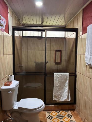 a bathroom with a toilet and a shower at Golden Jungle Hideaway in Salado