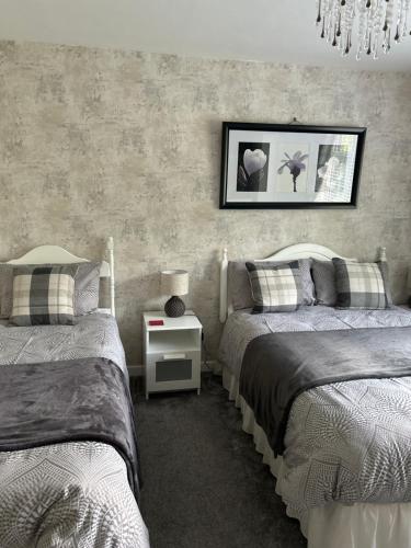a bedroom with two beds and a picture on the wall at Barrow View Accommodation in Mountmellick