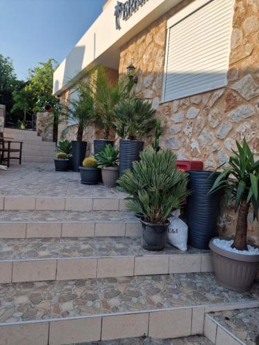 Errik Luxury House