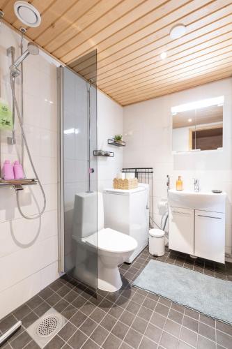 a bathroom with a toilet and a shower and a sink at Voimakelo - renovated - near ski bus in Kuusamo