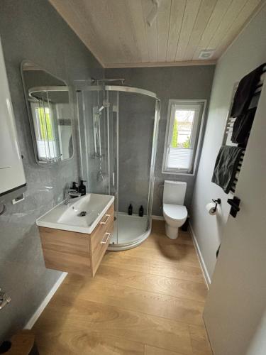 a bathroom with a shower and a sink and a toilet at Weitblick- Sauna- WLAN- Haus 3 in Neheim-Hüsten