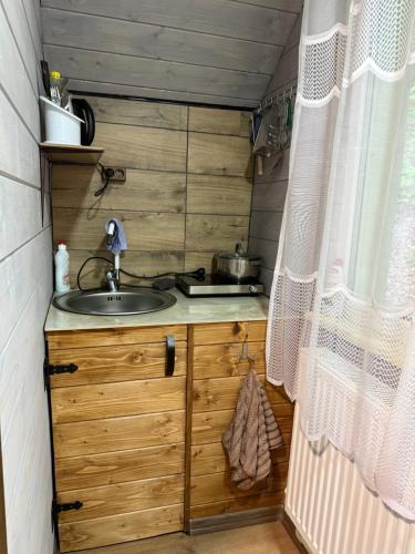 a kitchen with a sink in a tiny house at Шепіт лісу in Bukovets