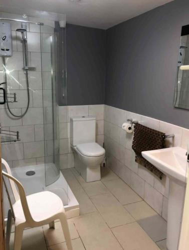 a bathroom with a toilet and a shower and a sink at The Firs Glamping in Welland