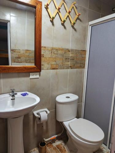 a bathroom with a toilet and a sink and a mirror at La Orquídea Cabañas in Playa Ladrilleros