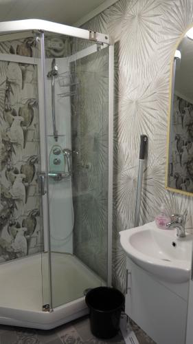 a shower with a glass door next to a sink at HagestadHytteutleie Wallhall in Birkenes
