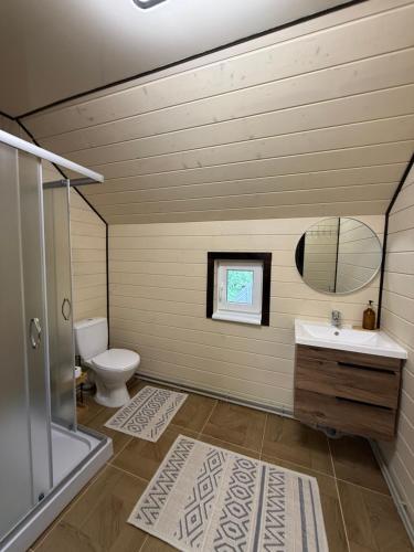 a bathroom with a toilet and a sink and a mirror at Family House in Izki