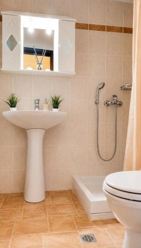 a bathroom with a sink and a toilet and a shower at Elias Studio & Apartment near Papa Nero Beach Pelion in Agios Ioannis Pelio