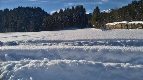 a field covered in snow with trees in the background at Schwaighof in Oberau