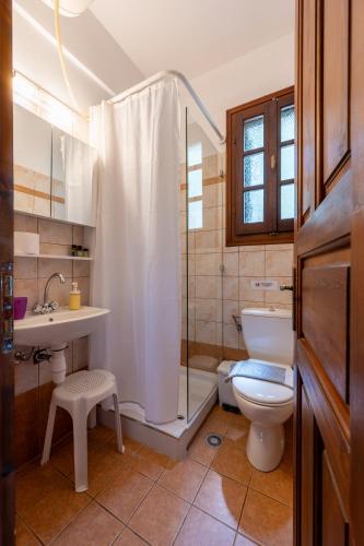 a bathroom with a shower and a toilet and a sink at Maistros Studios in Damouchari