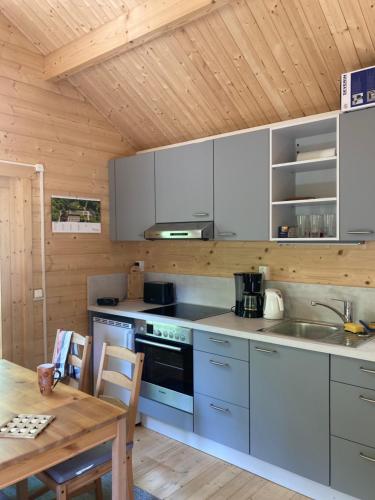 a kitchen with white cabinets and a wooden ceiling at Tiny House Seeblick in Casel